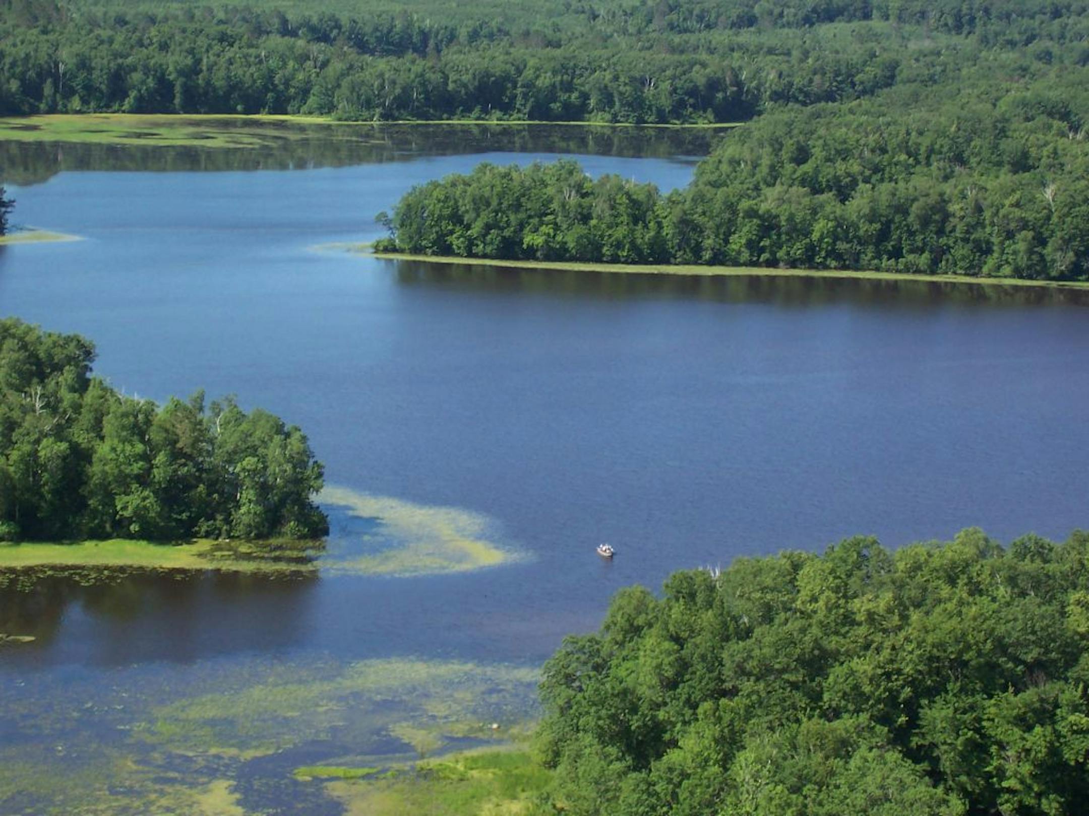 The miles-long undeveloped shoreline of the Mississippi River that conservationists hope to preserve north of Brainerd lies to the left of this photo, which faces downriver.