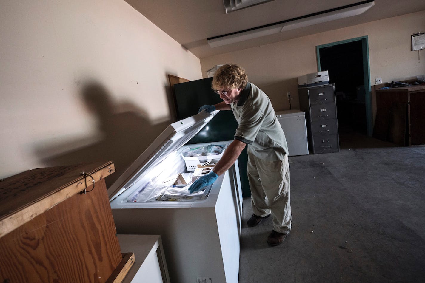 Kevin Woizeschke, Nongame Wildlife Program specialist for the Minnesota Department of Natural Resources, dug through a storage freezer in August 2017. The freezer contained an assortment of found, deceased wildlife, including a bald eagle that had been hit by a vehicle -- and, too, an unhatched loon egg collected from Eagle Lake.