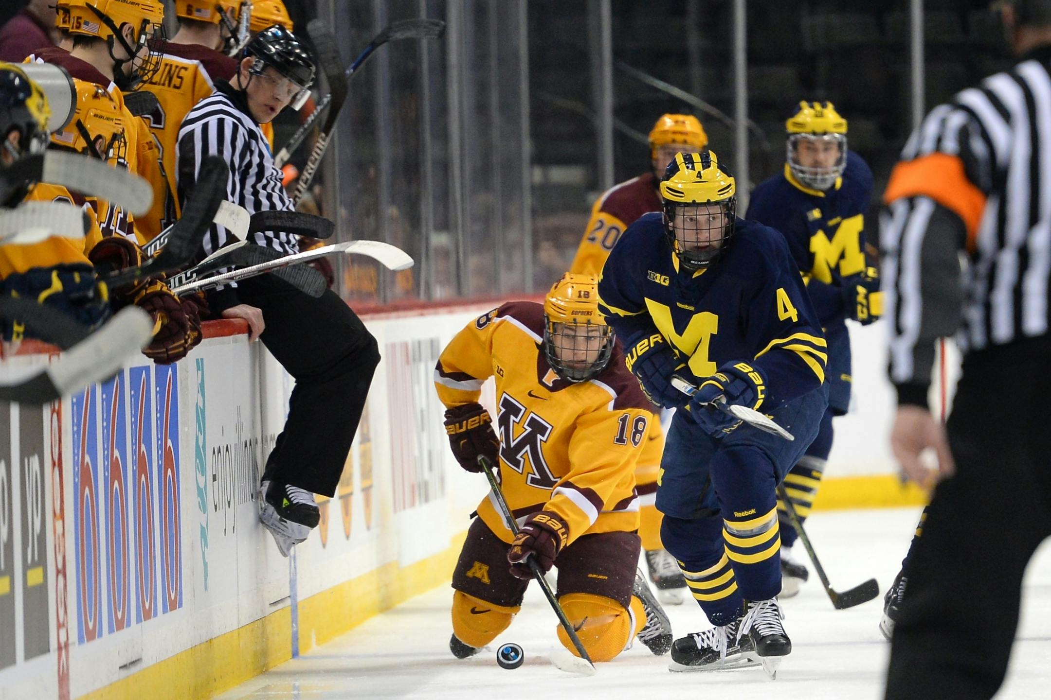 Minnesota Golden Gophers right wing Leon Bristedt (18) and Michigan Wolverines defenseman Cutler Martin (4) fought for the puck during the first period Saturday.