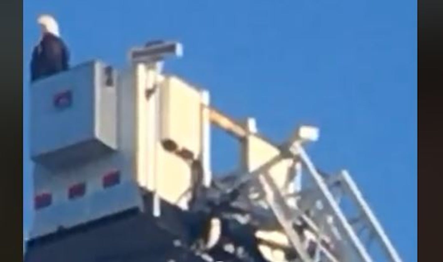 This eagle made an unannounced visit to the Andover Fire Department's 9/11 memorial ceremony staged on a freeway overpass.