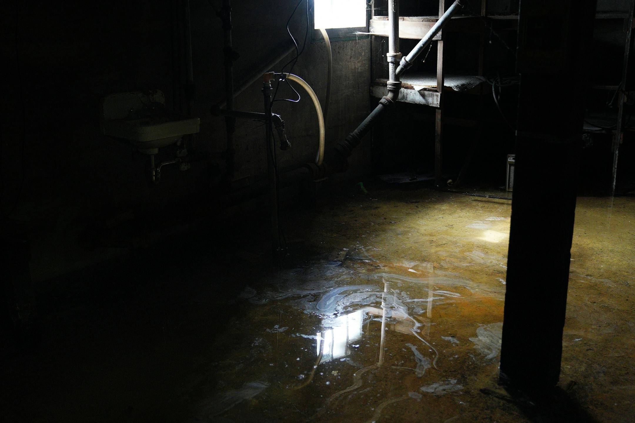 Standing water can be seen in the basement of the 1902 Section Foreman House, a possible candidate for the National Register of Historic Places where the railroad foreman used to live, Thursday in Wayzata.