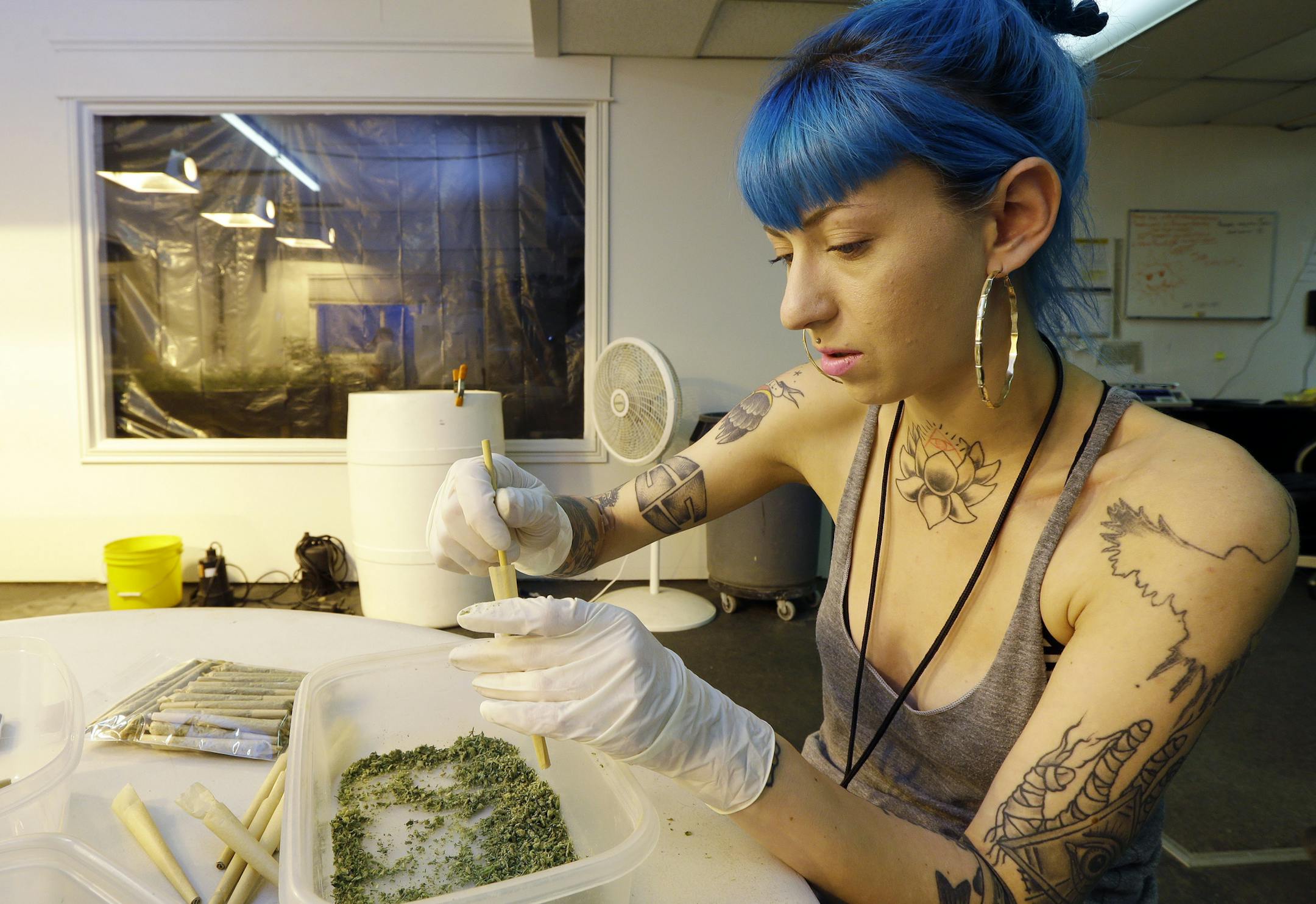 In this photo taken Tuesday, July 1, 2014, Stevie Askew, a worker at Sea of Green Farms, packs recreational marijuana into blunts that will be sold in stores when legal recreational pot sales begin Tuesday, July 8, in Washington state. The grower, the first business licensed to grow recreational marijuana in Washington state, worked all weekend to have supplies ready for stores that were expected to be granted sale licenses on Monday. (AP Photo/Ted S. Warren)