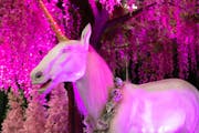 Unicorn World’s magical forest comes to the Minneapolis Convention Center July 15-16.