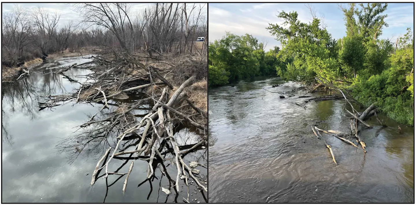 After river rescues, Cannon River paddlers advised to use caution - Vimarsana News