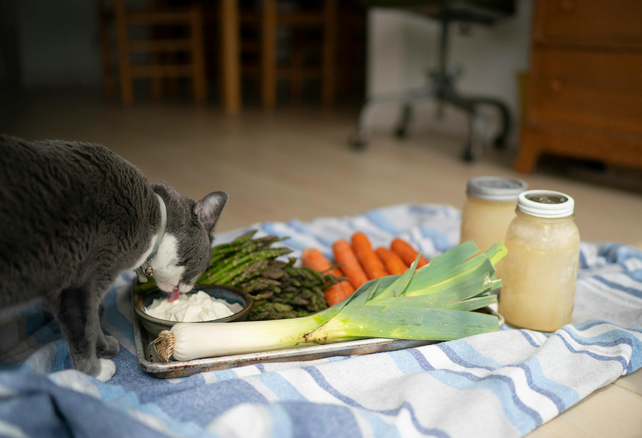 Karyn Tomlinson's cat, Ellie, snuck a taste of the creme fraiche that was part of her mies en place photo for her installment on soups. Since the pandemic began, former Corner Table chef Karyn Tomlinson has been a prolific poster to Instagram, offering free cooking lessons with her show "Karyn's Quarantine Kitchen." She's gotten very efficient, filming and editing all her videos on just her iPhone. She was photographed producing a segment on preparing pureed soups Thursday afternoon, April 23, 2