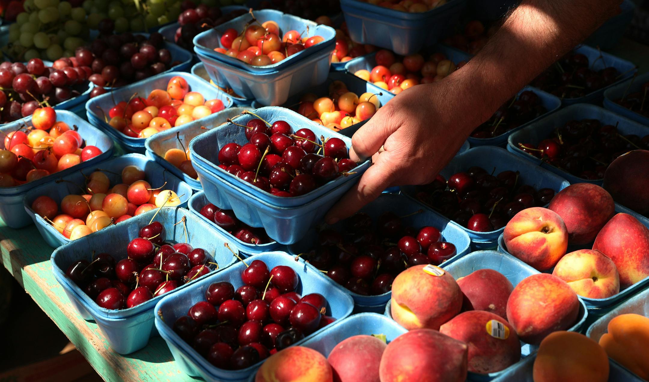 Greg Ketchum put a fresh crate of cherries out for sale at the Patnode's stand, which workers say is the oldest at the farmers market. ] ANTHONY SOUFFLE ï anthony.souffle@startribune.com Vendors sold their goods from stands during the Downtown Farmers Market Thursday, June 1, 2017 at the Location Hennepin County Government Center South Plaza in Minneapolis
