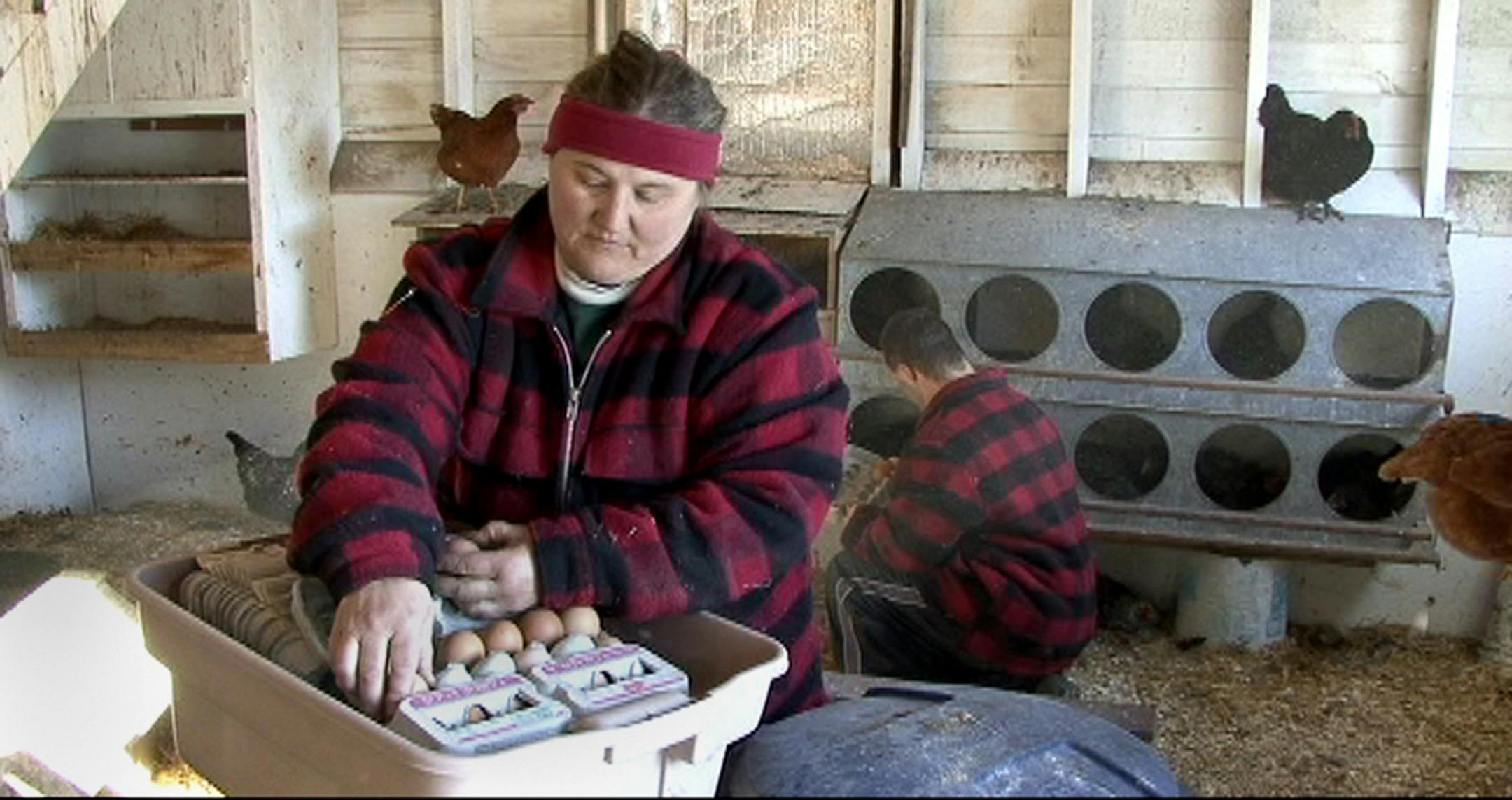 Simple Harvest Farm owner Kathy Zeman collects eggs with her brother Nick.