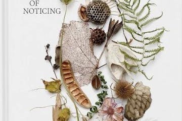 An assortment of plants are depicted on the cover of Still: The Art of Noticing
