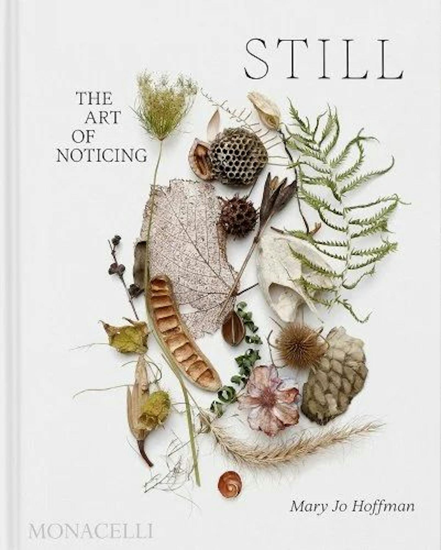 An assortment of plants are depicted on the cover of Still: The Art of Noticing