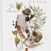 An assortment of plants are depicted on the cover of Still: The Art of Noticing