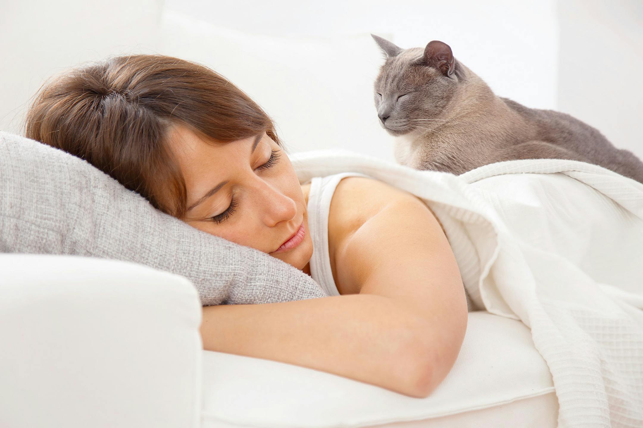 In a study conducted about the effects of taking a nap in the afternoon, Manolis Kallistratos, a cardiologist at the Asklepieion General Hospital in Voula, Greece, and one of the study’s co-authors, said that midday sleep appears to lower blood pressure levels at the same magnitude as other lifestyle changes. (Dreamstime/TNS) ORG XMIT: 1281943