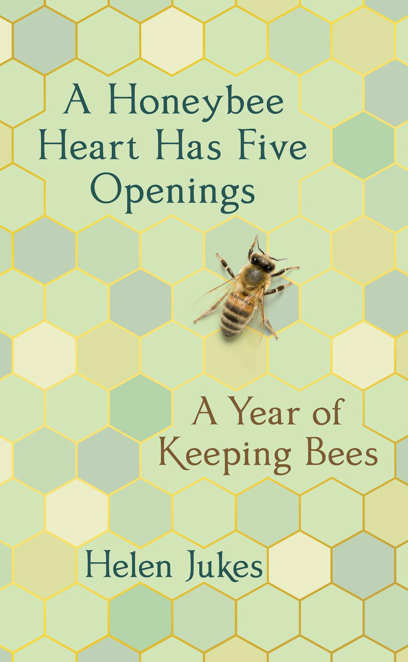 "A Honeybee Heart Has Five Openings" by Helen Jukes