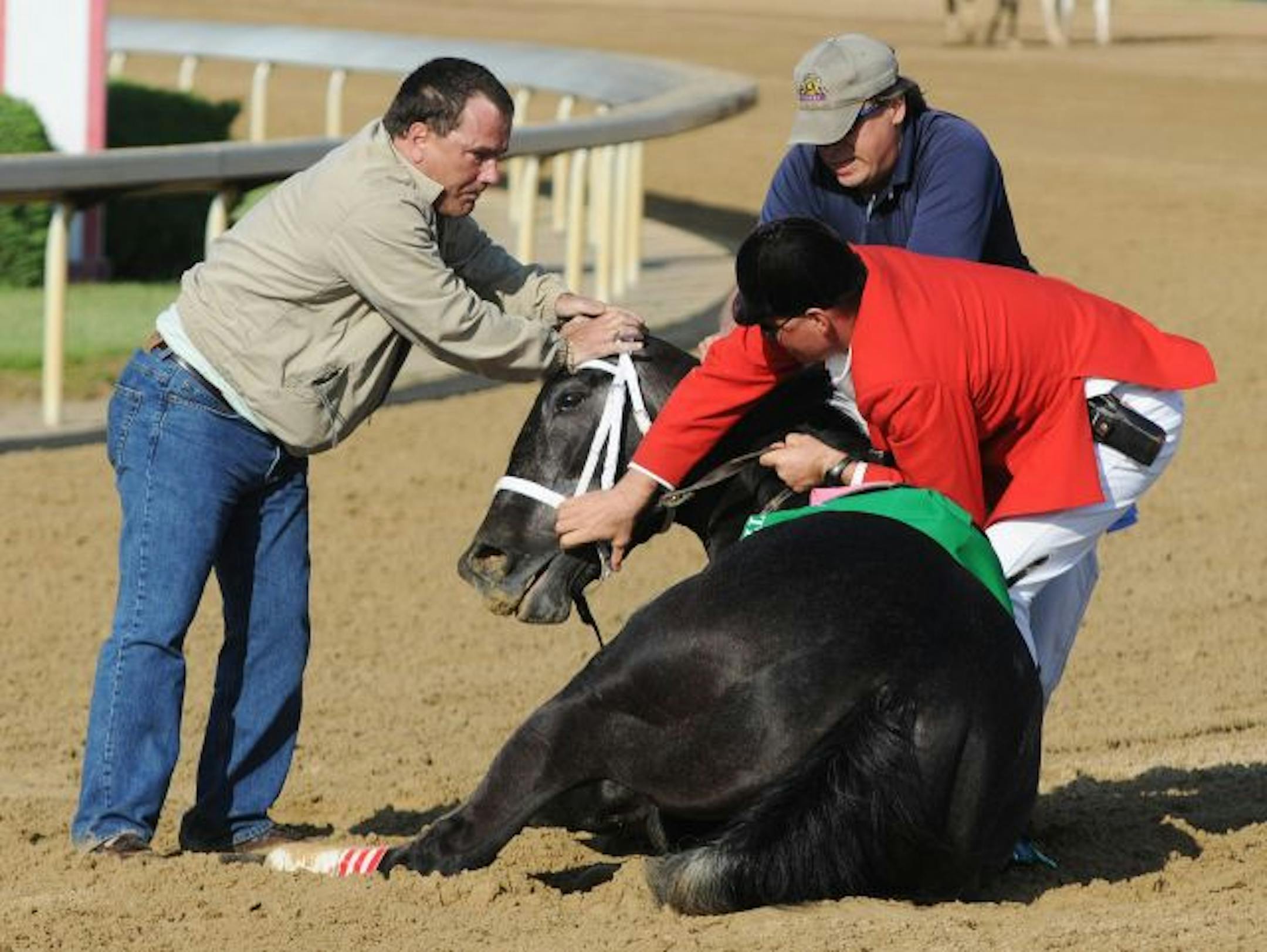Track personnel tried to hold down Eight Belles after the 134th Kentucky Derby, in which she broke both front ankles.