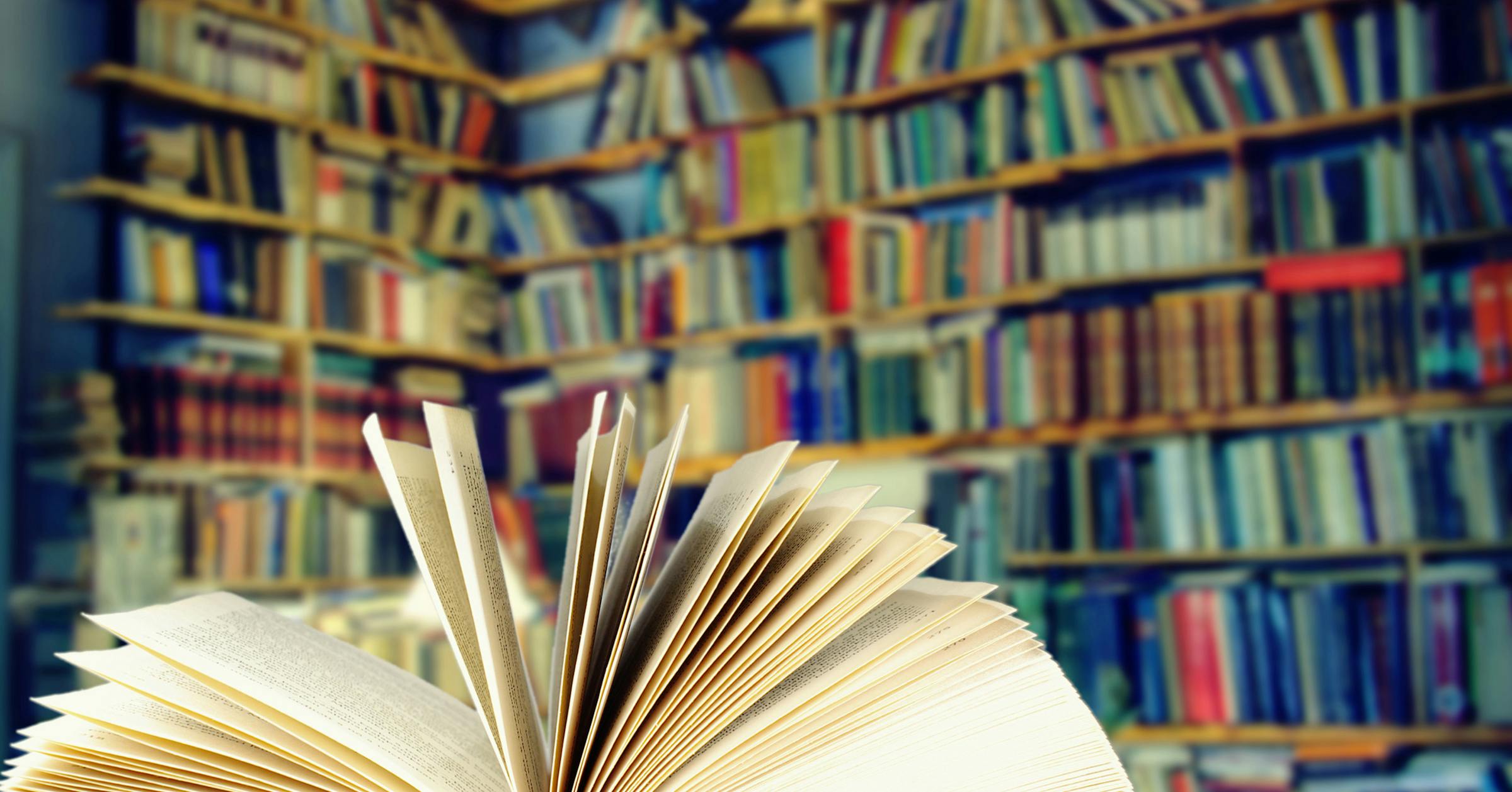 Counterpoint | Actually, English majors are thriving at the University of Minnesota