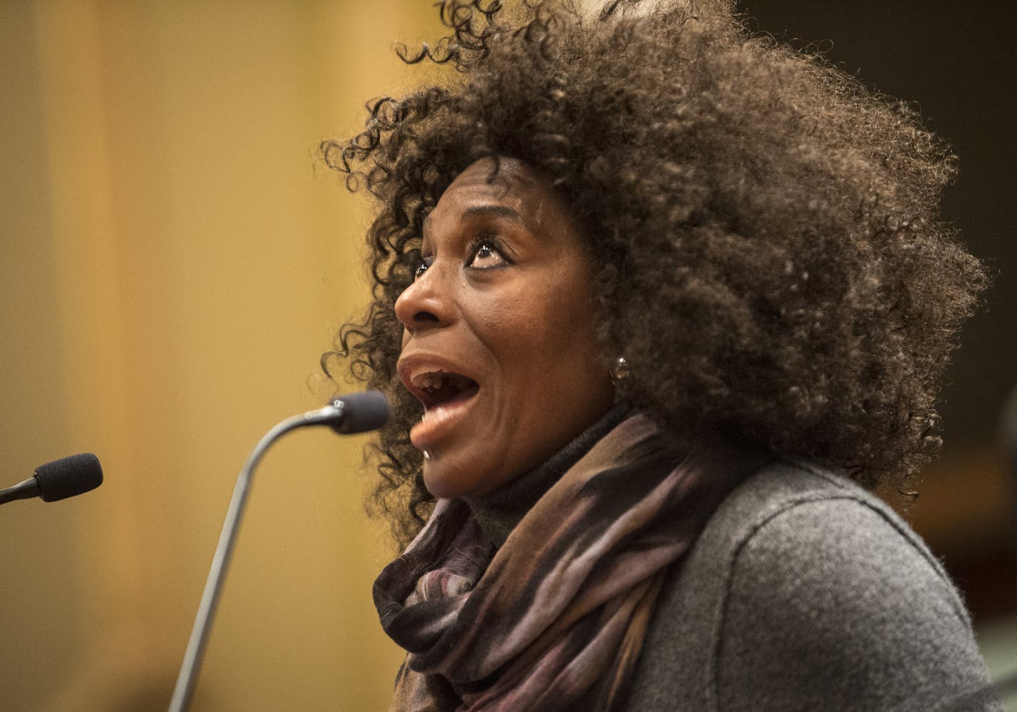 Patricia Anderson, of north Minneapolis, complained about Black Lives Matter's protests outside the 4th Precinct during window for public comment at a Minneapolis City Council public safety meeting Wednesday. ] (AARON LAVINSKY/STAR TRIBUNE) aaron.lavinsky@startribune.com The Minneapolis City Council held a public safety meeting on Wednesday, Dec. 2, 2015 at Minneapolis City Hall. The public was able to address the council on issues pertaining to the ongoing protest outside the 4th Precinct.