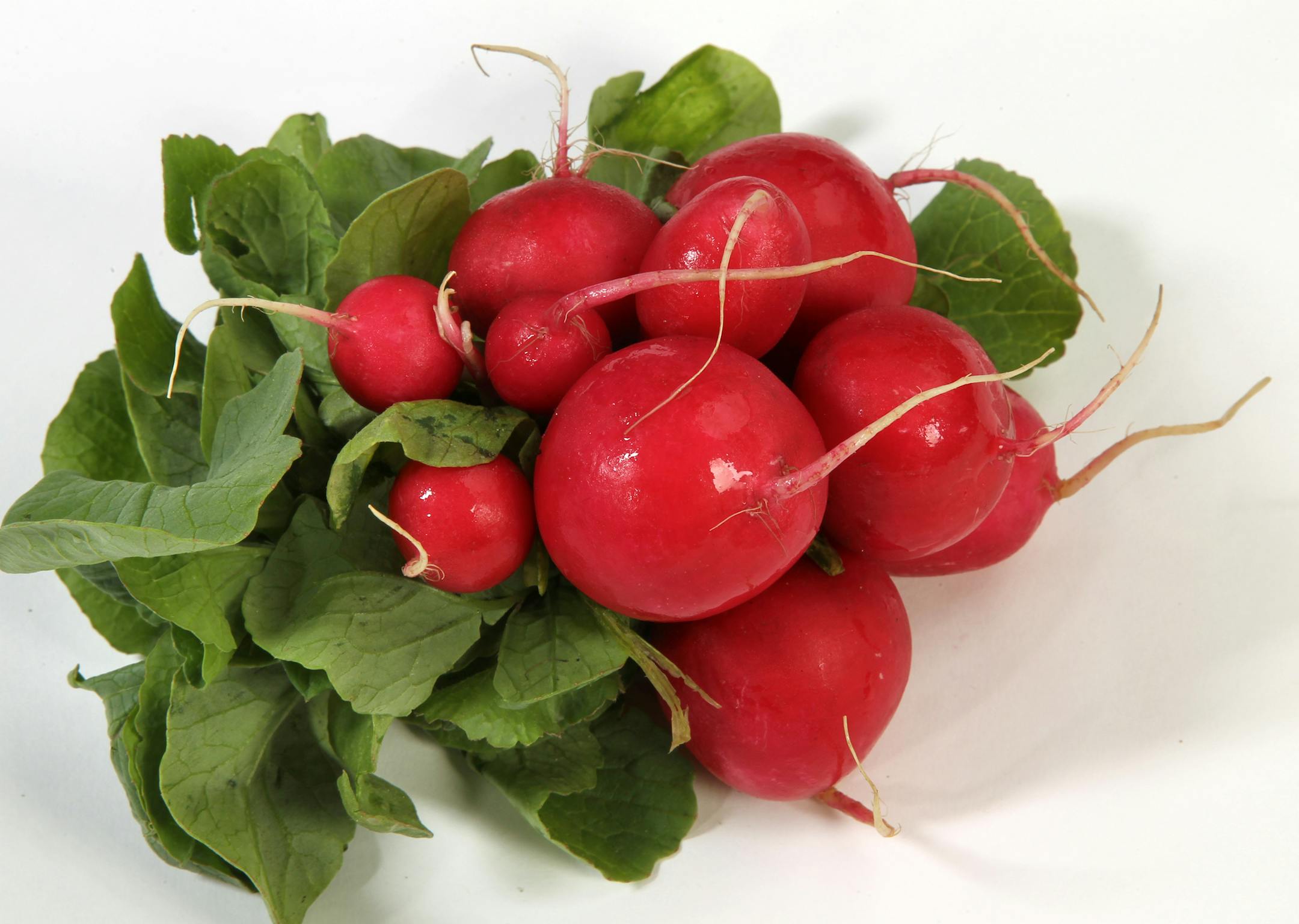 radishes_Taste widgets/illustrations; Radishes and asparagus, Butter lettuce Herbs etc. [ TOM WALLACE ‚Ä¢ twallace@startribune.com _ Assignments #20023643A_ May 23, 2012_ SLUG: veggies0531_ EXTRA INFORMATION: inside cutout material
