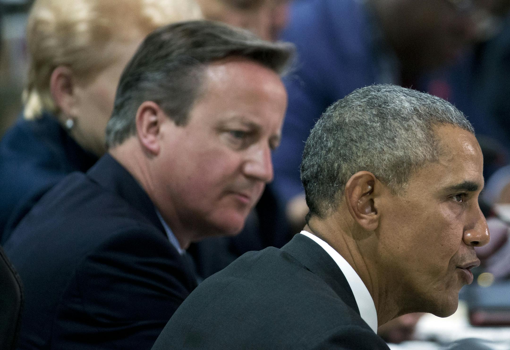 President Barack Obama with British Prime Minister David Cameron and other world leaders, speaks during the afternoon plenary session of the Nuclear Security Summit, Friday, April 1, 2016, in Washington. (AP Photo/Alex Brandon)