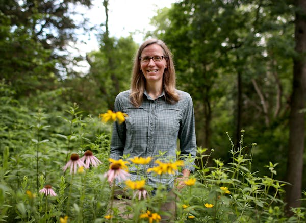 Heather Holm has become the go-to expert on native bees. She transformed her yard in Minnetonka to make it pollinator-friendly, using native plants.