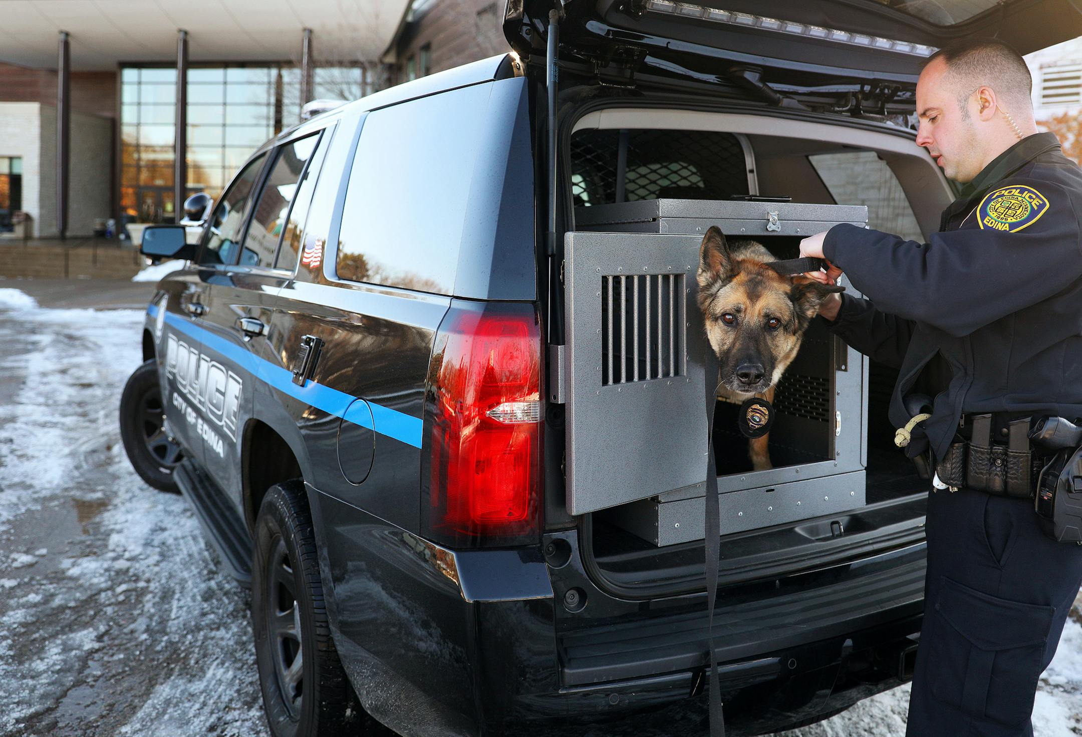 Officer Jason Behr gets his recently retired parter Blade, an 8-year-old German shepherd, out from a patrol vehicle for a portrait Wednesday. ] ANTHONY SOUFFLE • anthony.souffle@startribune.com Blade, a K-9 with the Edina Police Department who recently retired after serving on the force for 7 years, met with us for a portrait along with his former handler, Jason Behr, now a training officer with the Edina Police Department, Wednesday, Jan. 18, 2016 in Edina, Minn.