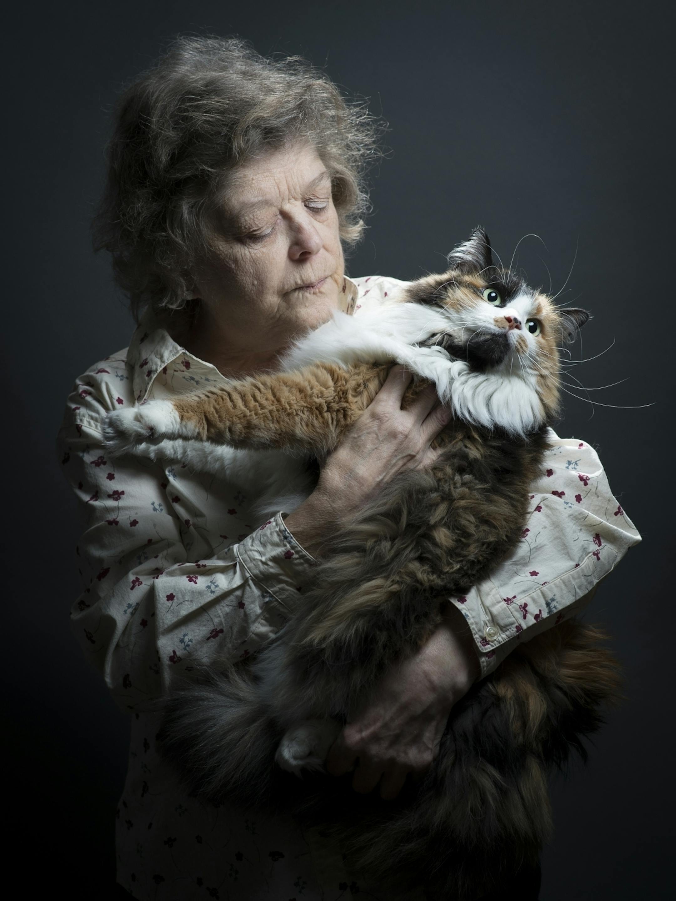 Gypsy Rose, a 7-year-old tortoise-shell and white long-haired show cat, is held by one of her owners, Gayle Long, on Tuesday afternoon.