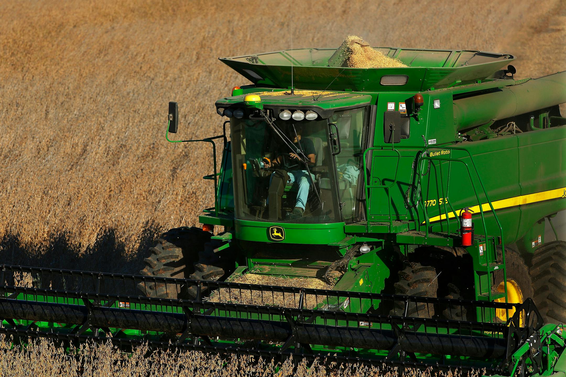 Despite soggy field conditions, a central Illinois farmer uses a combine to harvest his soybean field Tuesday, Oct. 21, 2014, in Loami, Ill. The U.S. Department of Agriculture says soybean harvests in Illinois are limping along. The USDA says in its weekly crop progress that three weeks of wet conditions across much of Illinois have left the ground saturated. The agency says that has limited efforts to bring in the crops from the fields. (AP Photo/Seth Perlman)