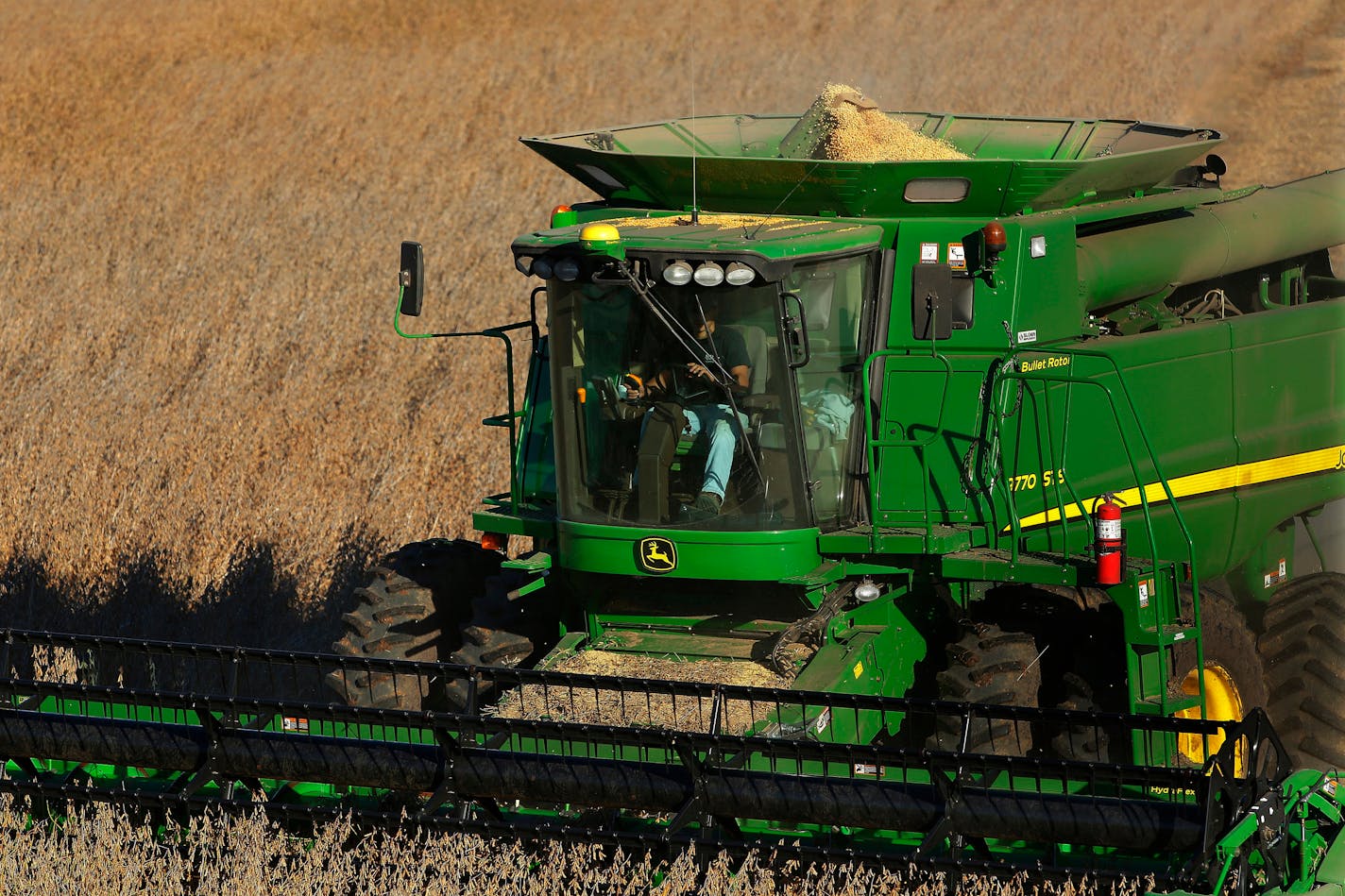 Despite soggy field conditions, a central Illinois farmer uses a combine to harvest his soybean field Tuesday, Oct. 21, 2014, in Loami, Ill. The U.S. Department of Agriculture says soybean harvests in Illinois are limping along. The USDA says in its weekly crop progress that three weeks of wet conditions across much of Illinois have left the ground saturated. The agency says that has limited efforts to bring in the crops from the fields. (AP Photo/Seth Perlman)