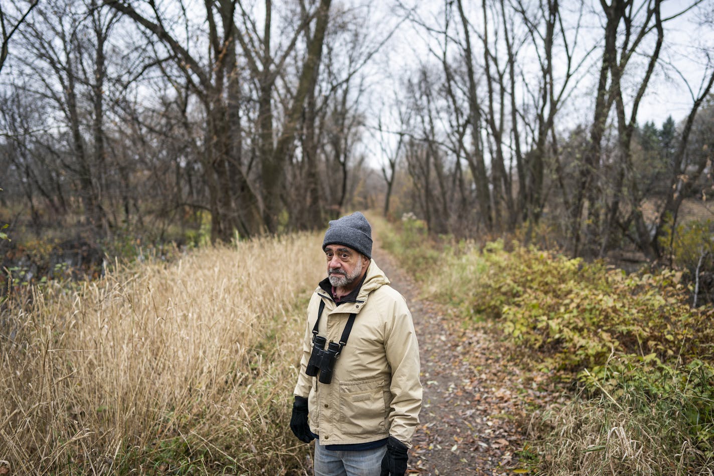 Stephen Greenfield, a volunteer with Friends of Roberts Bird Sanctuary, says it's "plausible" pesticides could have been misused there.