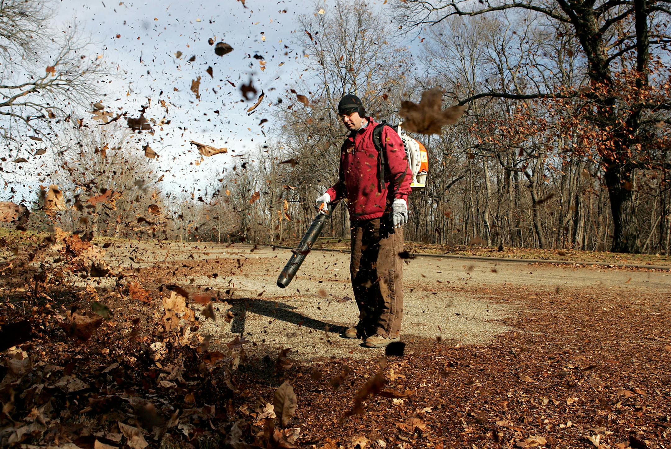 Everyone hates the sound of leaf blowing.