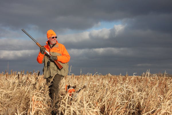 Dave Nomsen recently ended a long career with Pheasants Forever. "Conservation is a fact-based, science-based story," he said of communicating well.