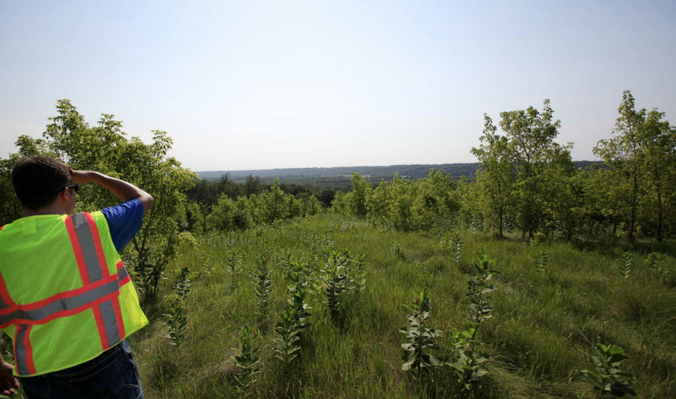 July 3, 2012
Mark Themig gave us a tour of the fields in Blakeley Township which will become part of Blakeley Bluffs regional park. July 3, 2012. ] JOELKOYAMAâ€¢joel.koyama@startribune.com Foreclosures etc are pushing up the timetable for the metro area's last major regional park Blakeley Bluffs regional park.
Published Caption:Mark Themig,manager of parks in Scott County, led a tour of the vast fields in Blakeley Township that will become a part of the planned Blakely Bluffs Pa