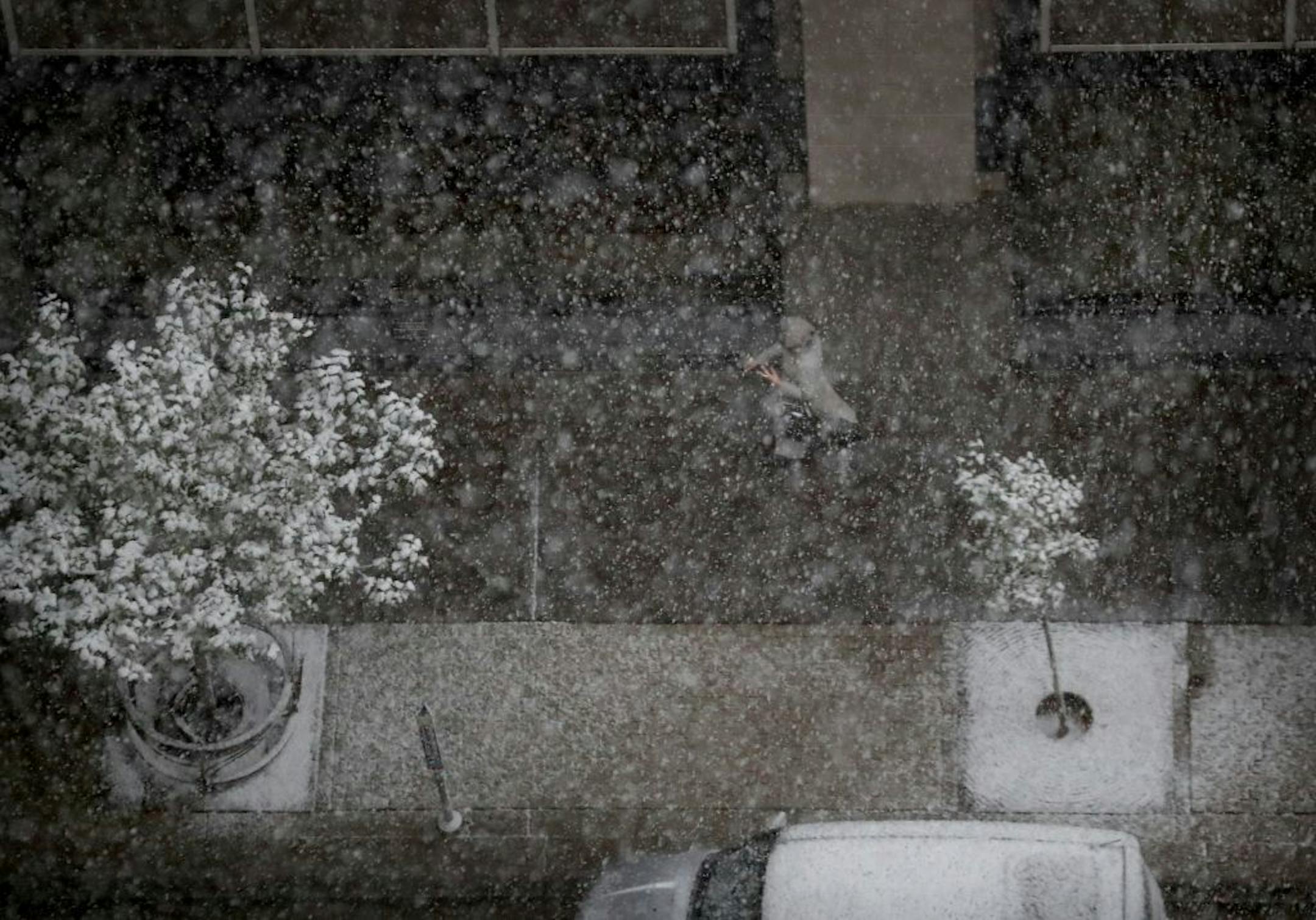 A woman makes her way through the snow along 2nd Ave. S. near 6th St. S. Friday, Nov. 3, 2017, in Minneapolis, MN.