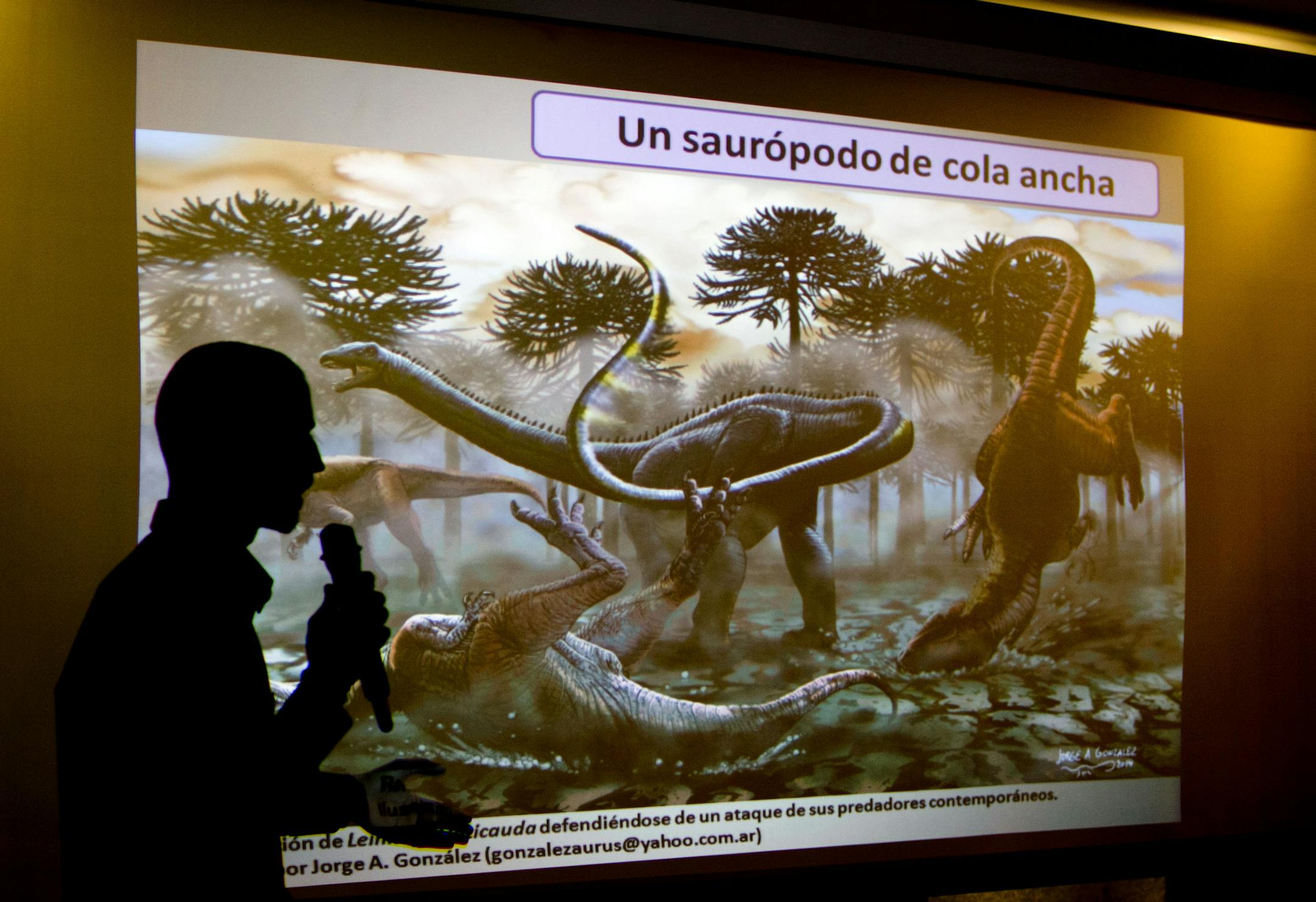 CORRECTS SPELLING OF LEINKUPAL - Paleontologist Pablo Gallina speaks to the press about a newly discovered dinosaur discovered in Argentina in Buenos Aires, Argentina, Thursday, May 15, 2014. Gallina and his team of Argentine paleontologists say the 19 vertebrae they recovered in Argentina’s Patagonia region belongs to a new species of Diplodocid they named “Leinkupal laticauda,” providing what they say is the first evidence that a family of long-necked, whip-tailed dinosaur