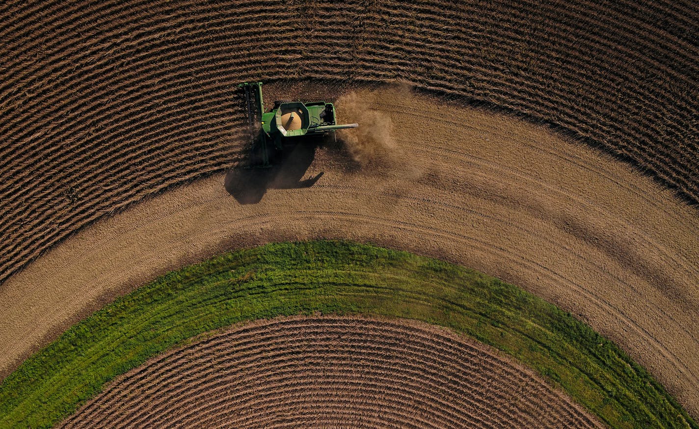 Steve Carlson, with Carlson Farms, harvest soy beans in his combine on Tuesday, Oct. 17, 2017 in Welch, Minn. ] AARON LAVINSKY &#xef; aaron.lavinsky@startribune.com