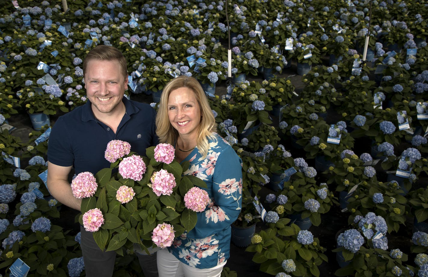 Terri McEnaney, a fourth-generation family member and president of Bailey Nurseries, stood amid hydrangeas with her son Ryan.