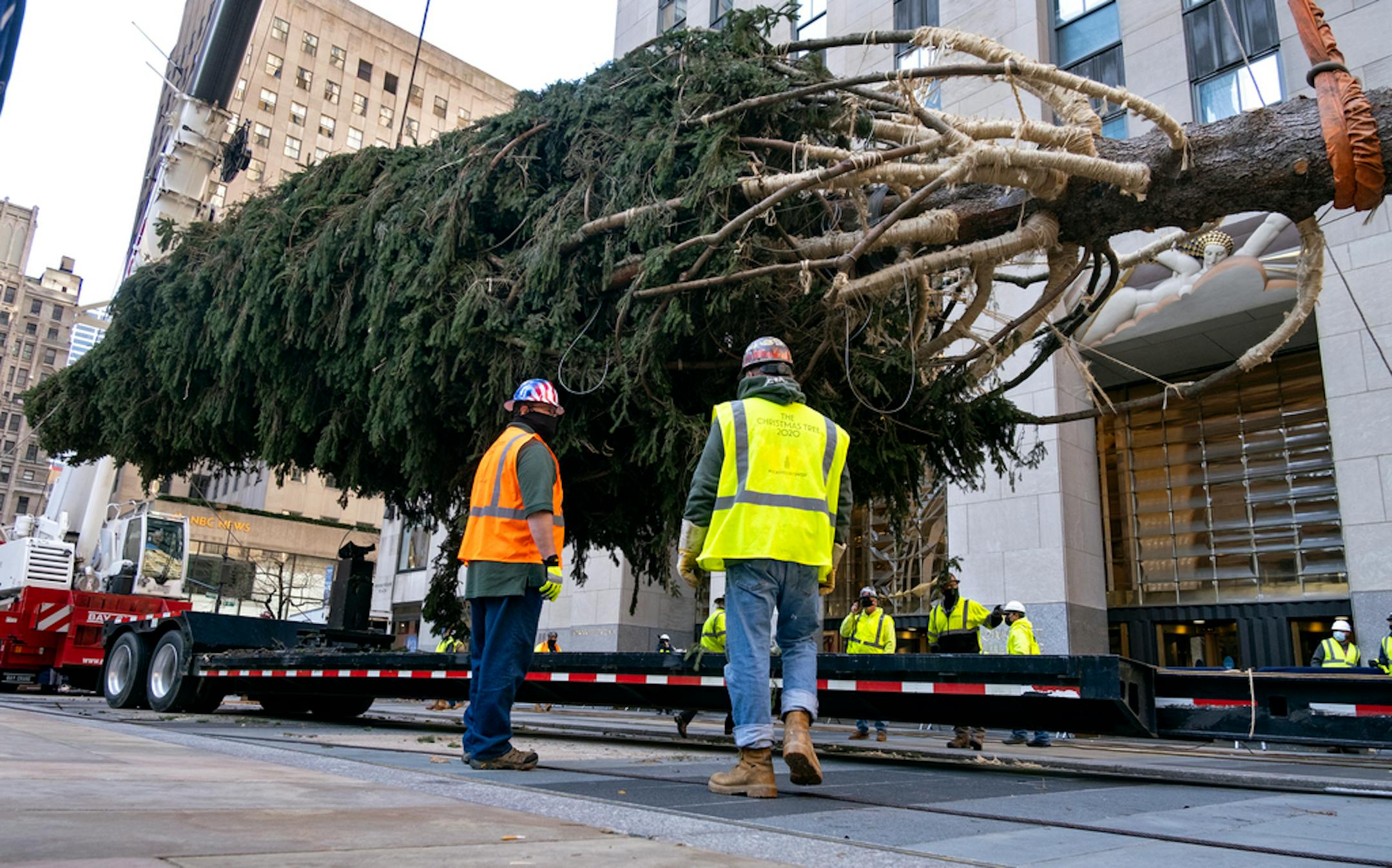 The 2020 Rockefeller Center Christmas tree, a 75-foot tall Norway Spruce that was acquired in Oneonta, N.Y., is prepared for setting on a platform at Rockefeller Center Saturday, Nov. 14, 2020, in New York. (AP Photo/Craig Ruttle)