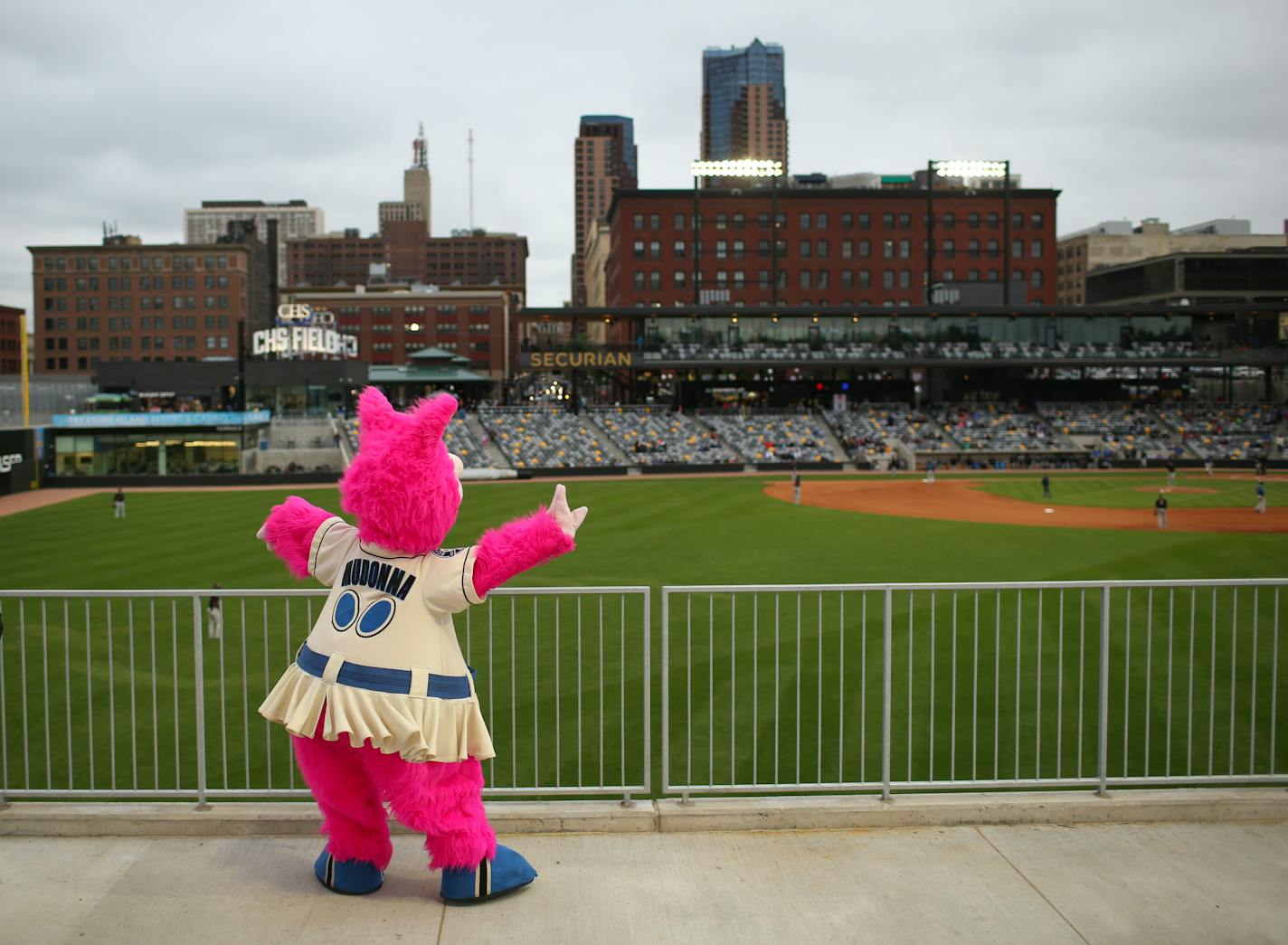 The Saints' mascot, Madonna, took in the view from the outfield patio Monday night. ] JEFF WHEELER • jeff.wheeler@startribune.com St. Paul Saints fans got a preview of the new CHS Field in St. Paul's Lowertown when the Saints played their first - and only - home exhibition game against the Sioux City Explorers Monday night, May 17, 2015.