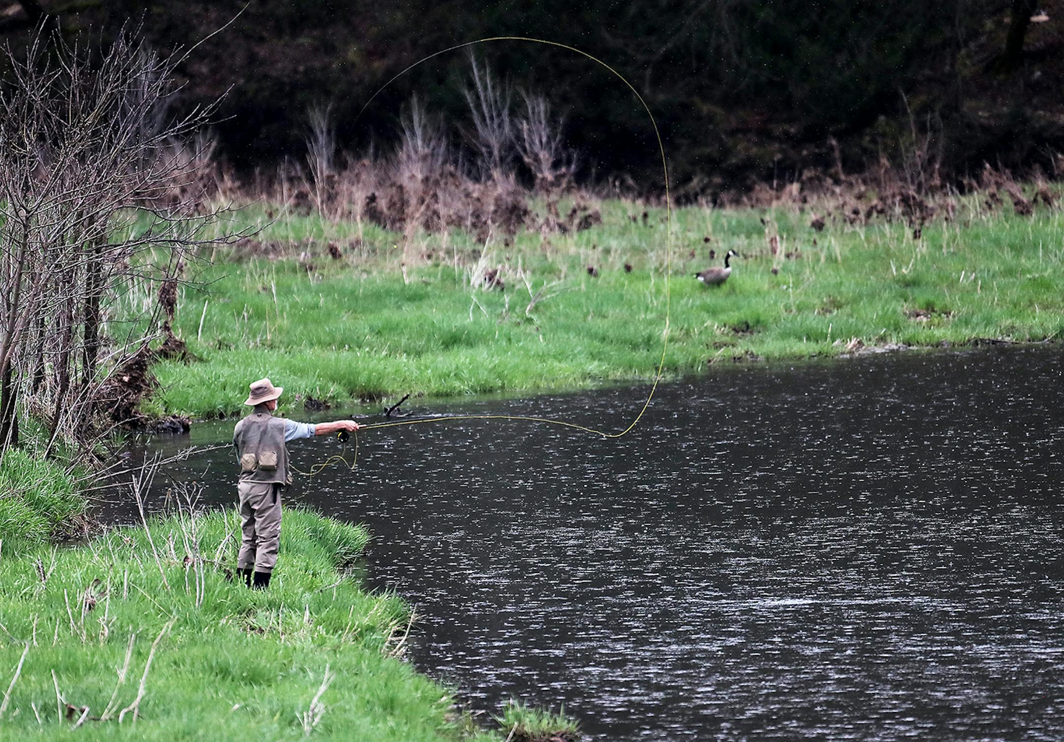 A fly fisher casts his line in the waters of the South Branch of the Root River in Forestville/Mystery State Park Saturday, April 15, 2017, in Preston, MN.] DAVID JOLES • david.joles@startribune.com Trout fishing opener on the South Branch of the Root River Saturday, April 15, 2017, in Preston, MN.