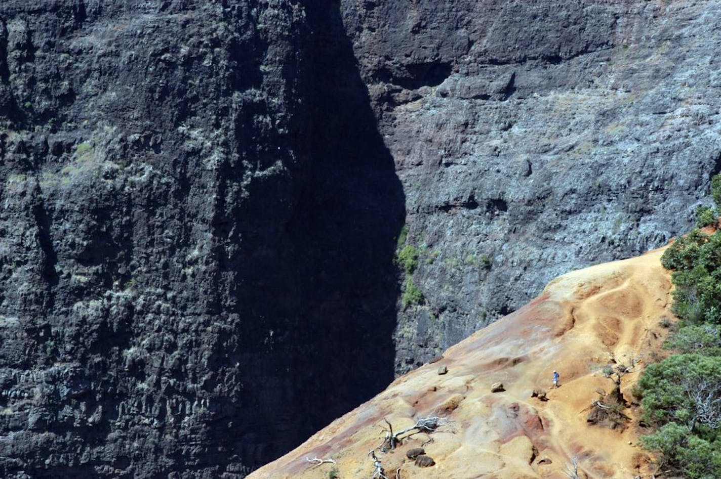 Waimea Canyon, as seen from the Canyon Trail in Kokee State Park, Kauai.%%GENERAL INFORMATION: Kauai, Hawaii