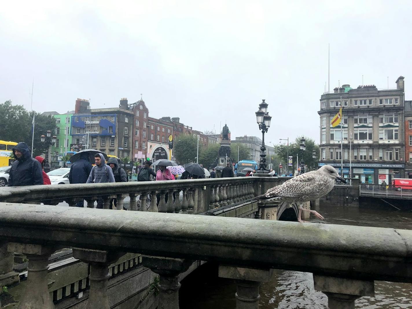 In rainy Dublin, we crossed the Ha'penny Bridge to the Winding Stair Bookshop and loaded up on books.