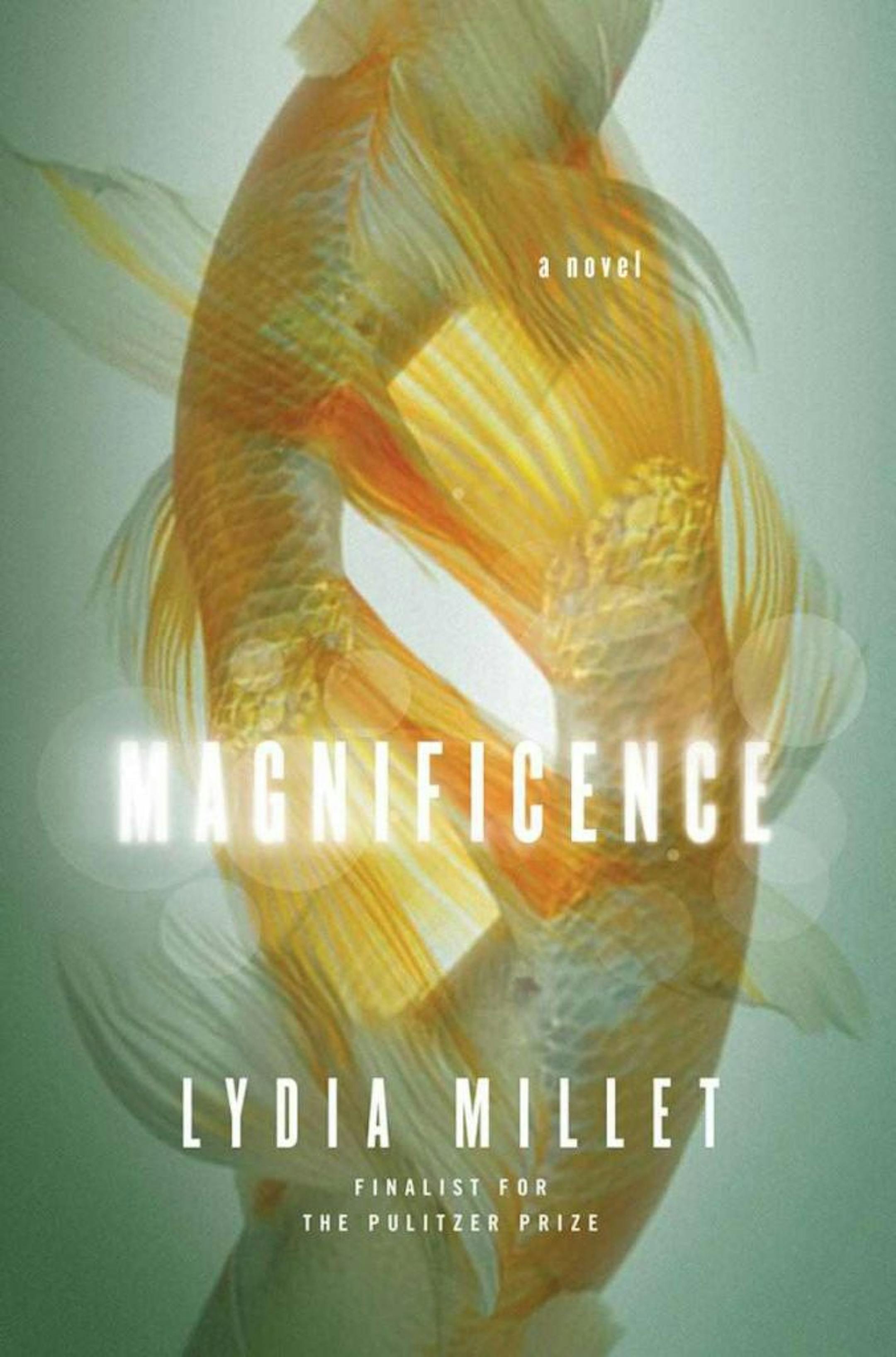 "Magnificence" by Lydia Millet