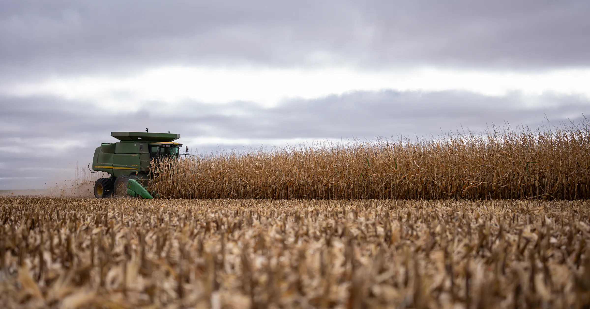 Krieg erschwerte die Aussaat. Jetzt könnte er die Gewinne der Landwirte ...