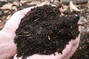 **FOR USE WITH AP LIFESTYLES** Homemade compost is seen Sunday, March 8, 2009 in New Market, Va. Compost or "brown gold" is the product of decomposed 