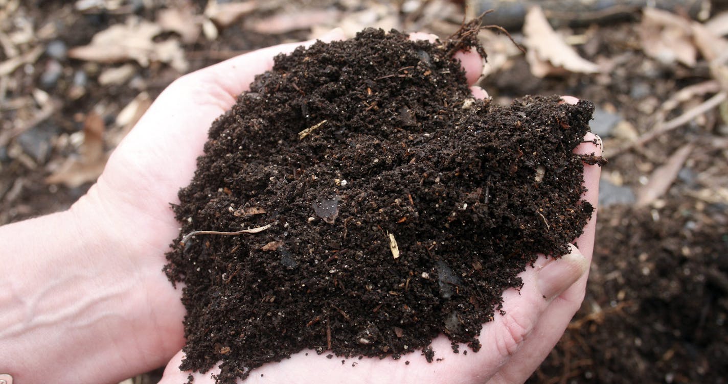 **FOR USE WITH AP LIFESTYLES** Homemade compost is seen Sunday, March 8, 2009 in New Market, Va. Compost or "brown gold" is the product of decomposed green kitchen scraps, yard litter and garden wastes. It becomes a nutrient-rich soil amendment when livestock and poultry manures are added. No-till gardeners spread a deep layer of mulch over the home-made compost to enrich and safeguard surface soils. (AP Photo/Dean Fosdick) ORG XMIT: MIN2013050314500447