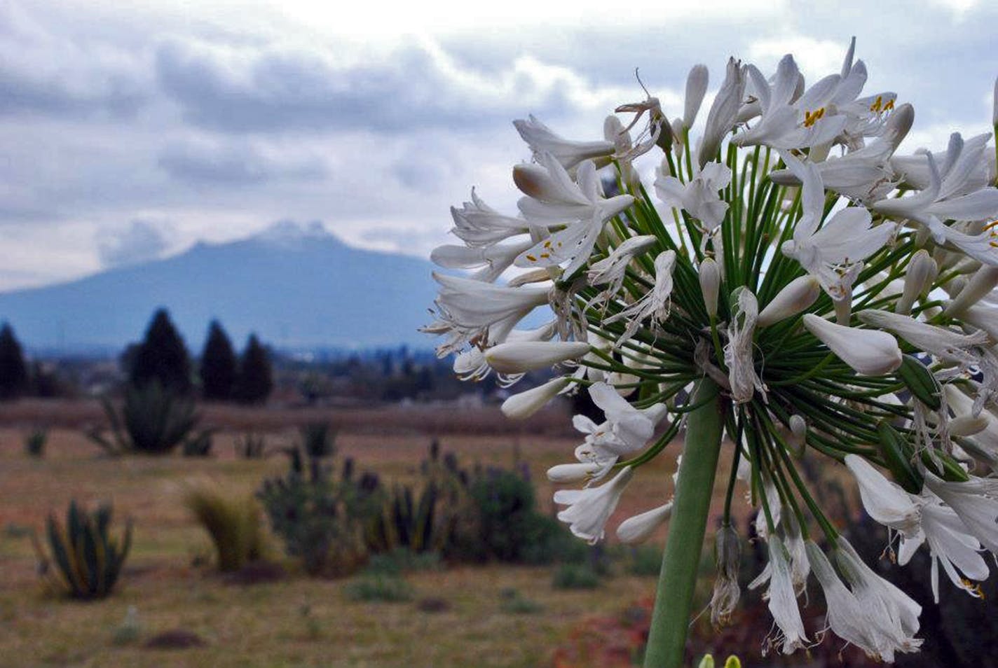 The cooking school is located in Tlaxcala, a small village surrounded by three volcanoes.