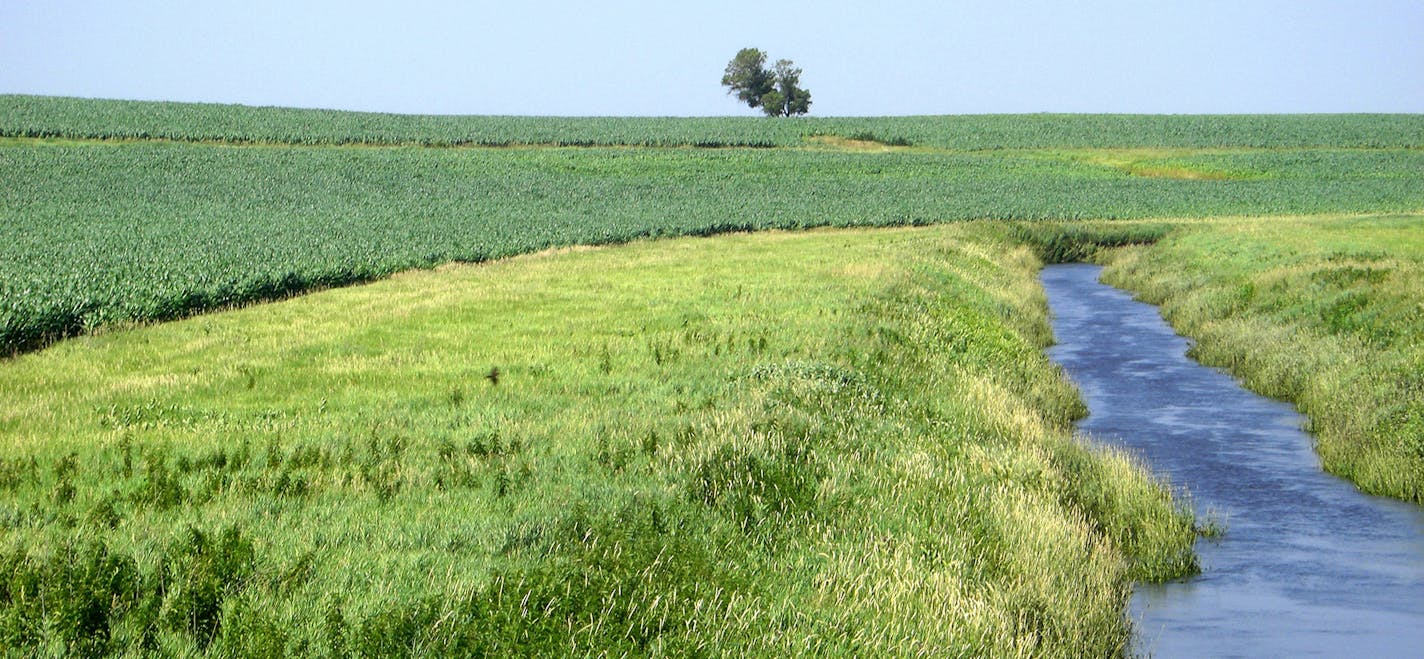 A grass buffer strip in Redwood County. A bill introduced in the Legislature would require buffer strips on most waterways. Photo courtsey Minnesota Board of Water and Soil Resources. ORG XMIT: MIN1503101329552021 ORG XMIT: MIN1503131512443555