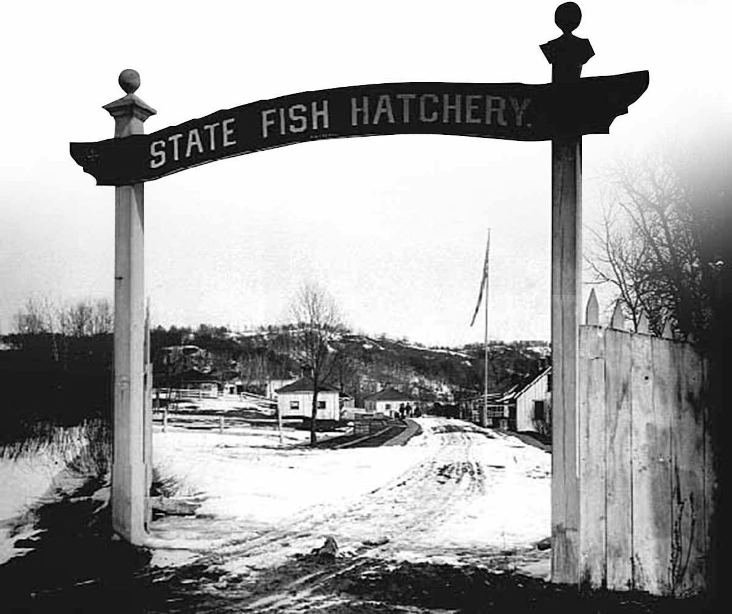 history of st. paul hatchery