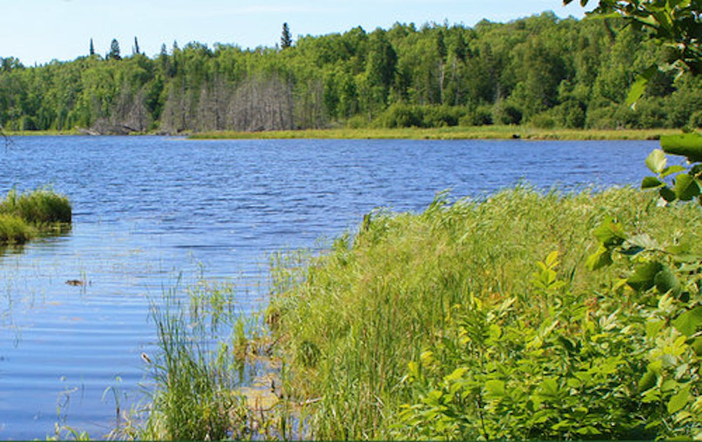 Lester Lake