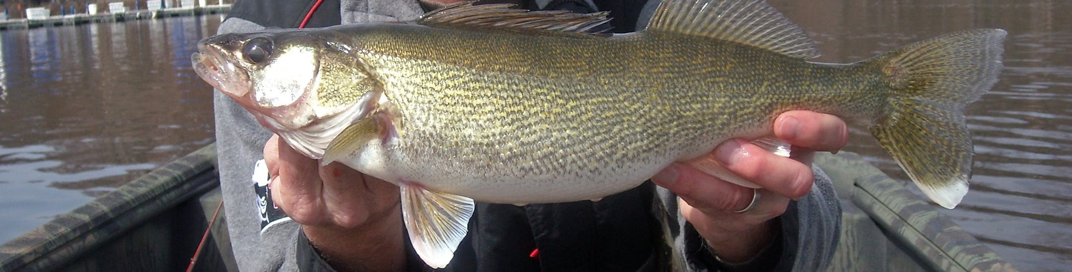 Former Minnesota Twins pitcher Jack Morris with walleye.