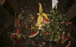 A large cast of volunteers transformed a suburban Woodbury front yard into an "Edible Estate" over the weekend. John and Catherine Schoenherr's lawn w