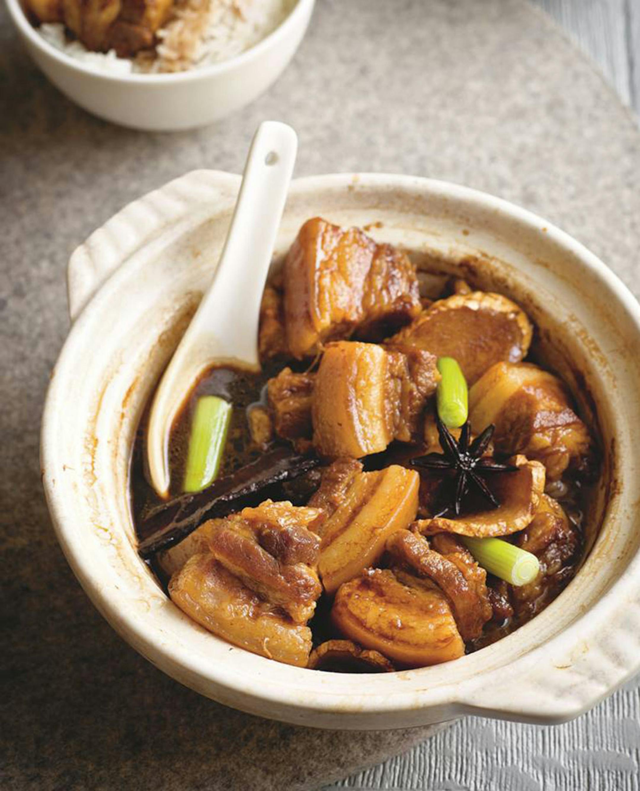 Red braised pork ‚Äì From "Every of Rice" by Fuschia Dunlap.